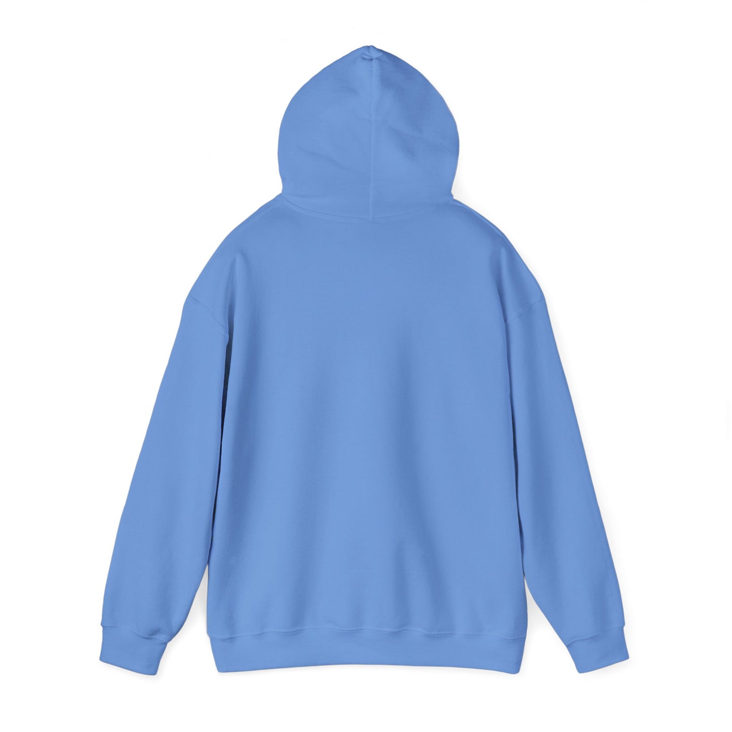 Buckaroo Logic Logo Hoodie